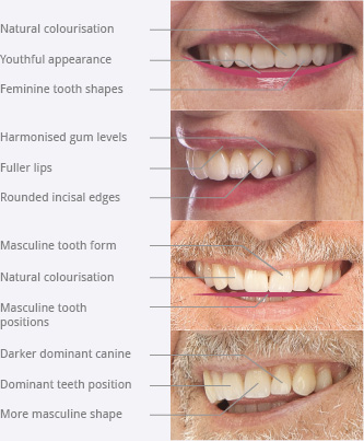Teeth details